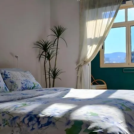 Nuci'S Place 2, Sunny Apartment With Balcony Near Blloku Tirana Exterior photo